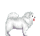 Samoyed.png