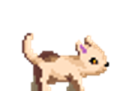 CatTan.png